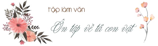 Tập làm văn: Ôn tập về tả con vật tuần 30