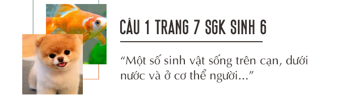 Câu 1 trang 9 SGK Sinh học 6