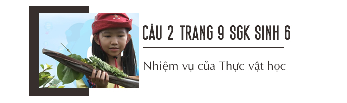 Câu 2 trang 9 SGK Sinh học 6