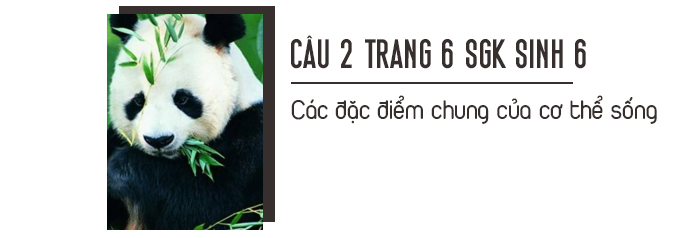 Câu 2 trang 6 SGK sinh học 6