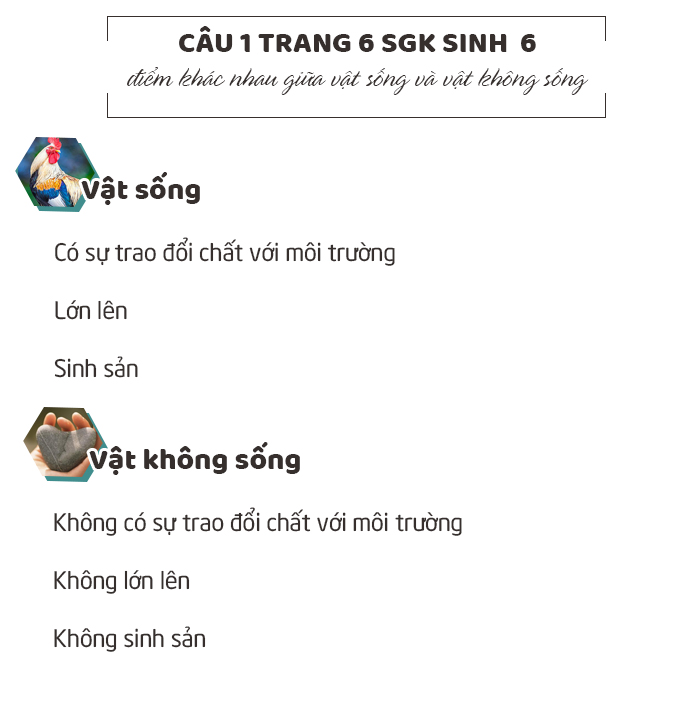 Trả lời câu 1 trang 6 sgk sinh 6