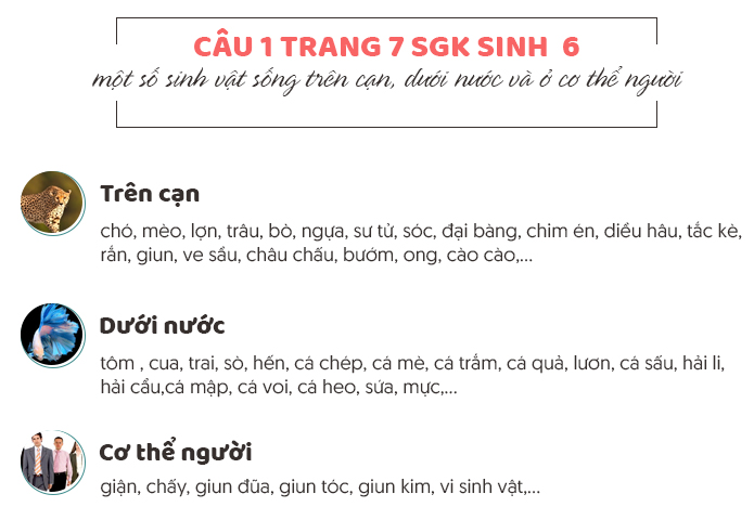 Trả lời câu 1 trang 7 SGK sinh 6