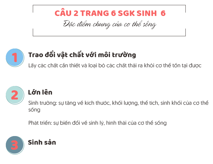 Trả lời câu 2 trang 6 SGK sinh 6