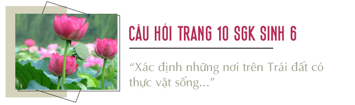 Câu hỏi thảo luận trang 10 SGK Sinh 6