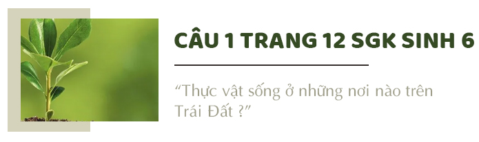 Câu 1 trang 12 SGK Sinh học 6