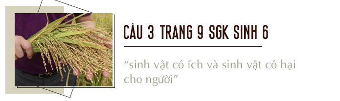  Câu 3 trang 9 SGK Sinh học 6