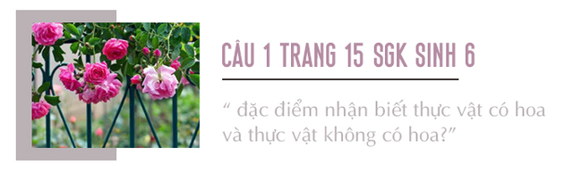 Câu 1 trang 15 SGK Sinh học 6