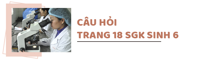 Câu hỏi thảo luận trang 18 SGK Sinh 6