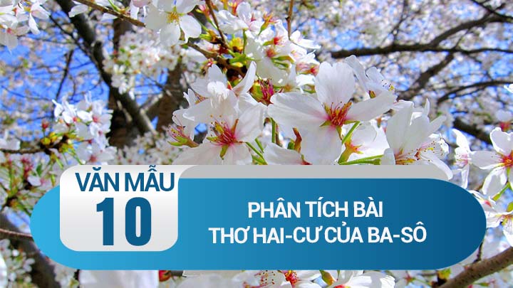 Phân tích bài Thơ hai-cư của Ba-sô