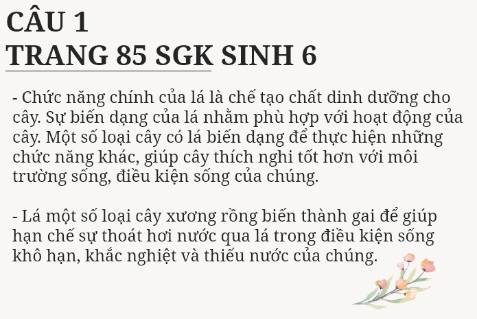 Câu 1 trang 85 SGK Sinh học 6