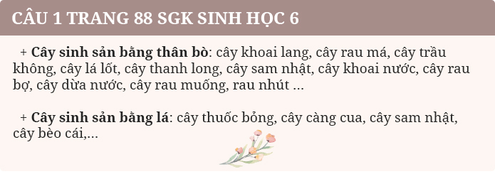 cau 1 trang 88 sgk sinh hoc 6