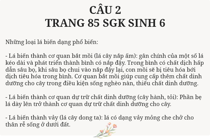 Câu 2 trang 85 SGK Sinh học 6