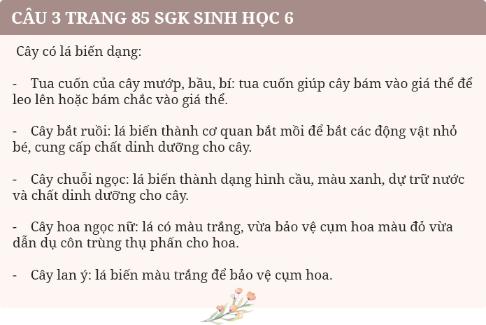 cau 3 trang 85 sgk sinh hoc 6