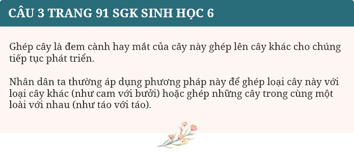 Câu 3 trang 91 SGK Sinh 6