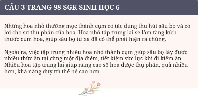 Câu 3 trang 98 SGK Sinh học 6