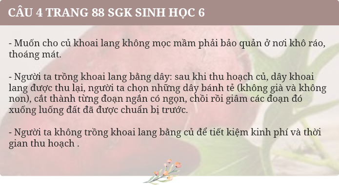 Câu 4 trang 88 SGK Sinh học 6