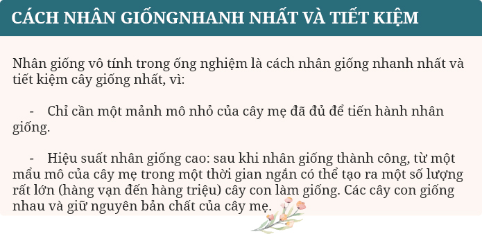 Câu 4 trang 91 SGK Sinh học 6