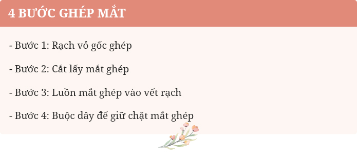 4 Bước ghép mắt