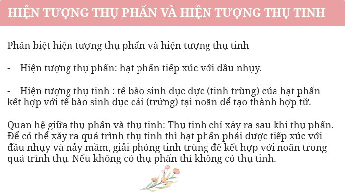 Câu 1 trang 104 SGK Sinh học 6