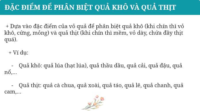 Câu 1 trang 107 SGK Sinh học 6