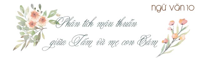 Phân tích mâu thuẫn giữa Tấm và mẹ con Cám trong truyện Tấm Cám