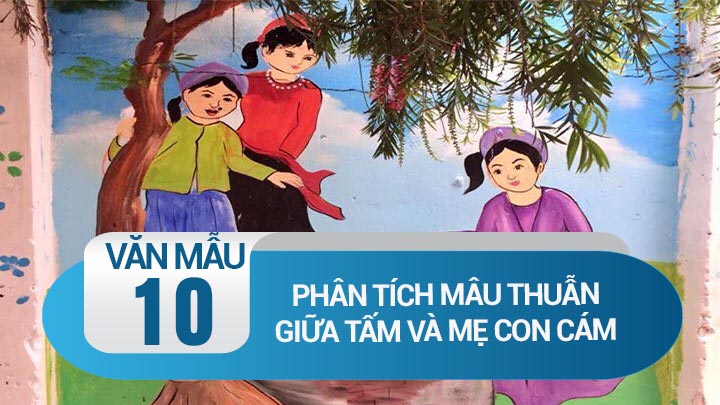 Phân tích mâu thuẫn giữa Tấm và mẹ con Cám trong truyện Tấm Cám