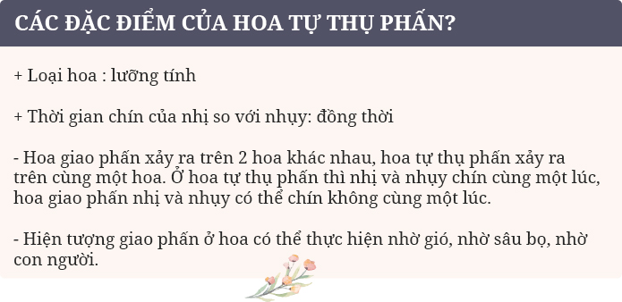 Câu hỏi thảo luận trang 99 SGK Sinh 6