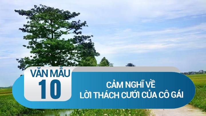 Cảm nghĩ về lời thách cưới của cô gái: Nhà em thách cưới 1 nhà khoai lang