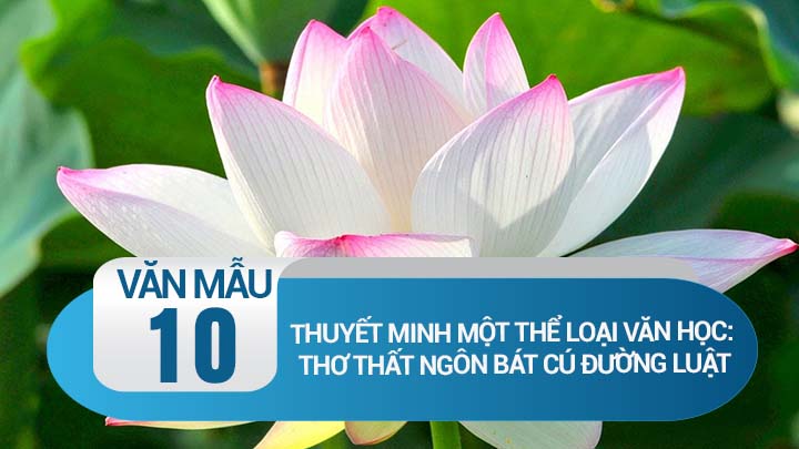 Thuyết minh thể thơThất ngôn bát cú Đường luật