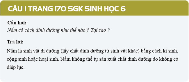 Câu 1 trang 170 SGK Sinh học 6