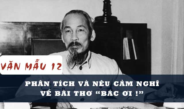 Phân tích và nêu cảm nghĩ về bài thơ Bác ơi – Tố Hữu