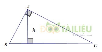 Lý thuyết diện tích tam giác  và các dạng bài thường gặp ảnh 2