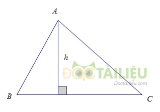 Lý thuyết diện tích tam giác  và các dạng bài thường gặp ảnh 1
