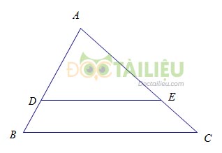 Lý thuyết định lí Ta-let trong tam giác và cách làm các dạng bài thường gặp ảnh 2