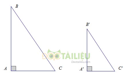 Lý thuyết các trường hợp đồng dạng của tam giác vuông ảnh 2