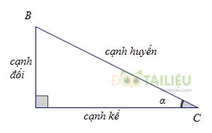 Lý thuyết Tỉ số lượng giác của góc nhọn và các dạng bài thường gặp ảnh 1