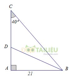 Lý thuyết về một số hệ thức về cạnh và góc trong tam giác vuông ảnh 2