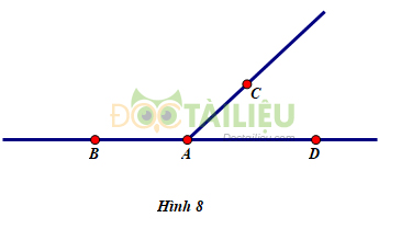 Bài 8 trang 75 SGK Toán 6 tập 2