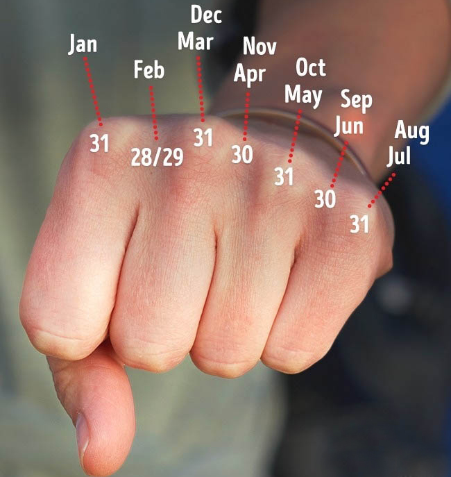 Cách dùng nắm tay để nhẩm số ngày của mỗi tháng