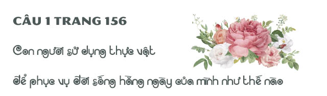 Câu 1 trang 156 SGK Sinh học 6