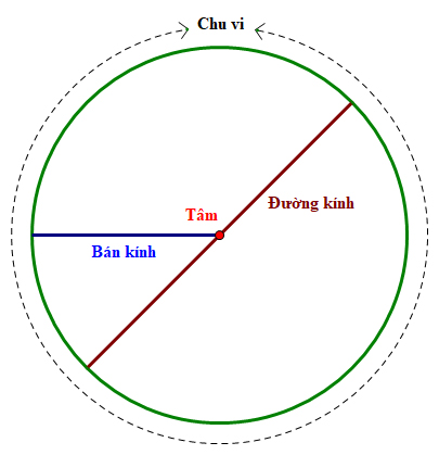 Hình tròn xoe, tâm, 2 lần bán kính, nửa đường kính hình tròn
