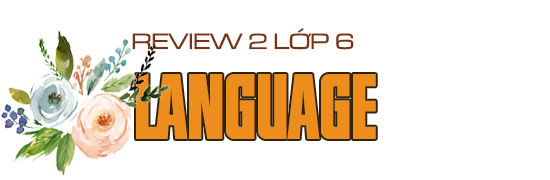 Language Review 2 lớp 6 trang 68
