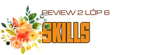 Skills Review 2 lớp 6 trang 69