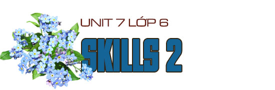 Unit 7 lớp 6 Skills 2 trang 13
