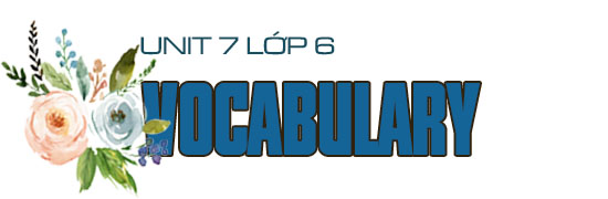 Unit 7 lớp 6 Vocabulary trang 6