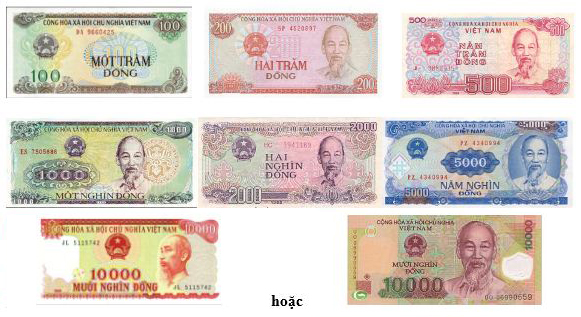 Tiền giấy Việt Nam