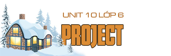 Unit 10 lớp 6 Project trang 47