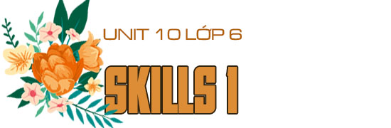 Skills 1 Tiếng Anh lớp 6 Unit 10