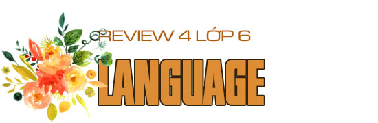 Language Tiếng Anh lớp 6 Review 4 hình 1
