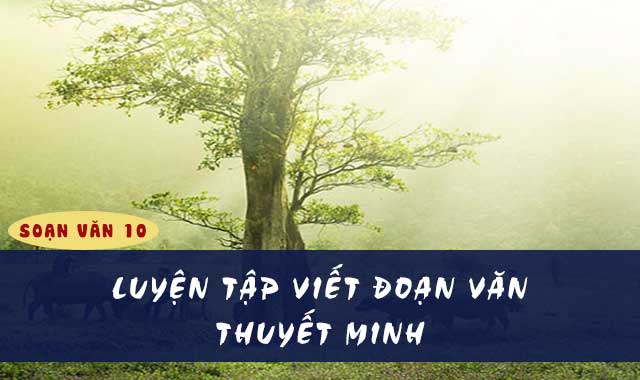 Cách viết đoạn văn thuyết minh theo thứ tự nhất định?
